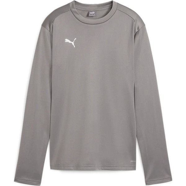 Puma Teamgoal Sweat D'entraînement Femmes - Gris