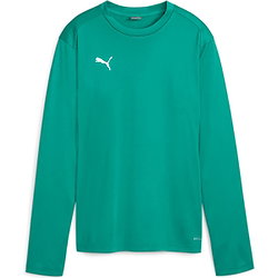 Vorschau: Puma Teamgoal Trainingssweat Damen - Grün