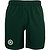 Indian Maharadja Jaipur Performance Short Heren - Groen