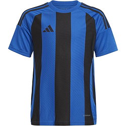 Adidas Striped 24 Trikot Kurzarm Kinder - Royal / Schwarz