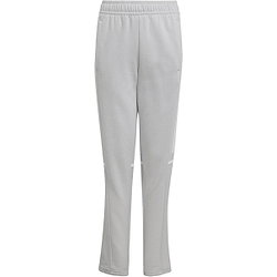 Adidas Squadra 25 Sweathose Kinder - Grau / Weiß