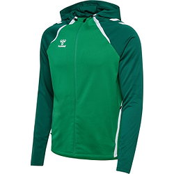 Hummel Lead 2.0 Hoodie Herren - Grün / Dunkelgrün