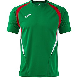 Joma Championship 20 Shirt Korte Mouw Heren - Groen / Rood / Wit
