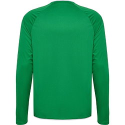 Voorvertoning: Hummel Core 2.0 Voetbalshirt Lange Mouw Heren - Groen / Wit