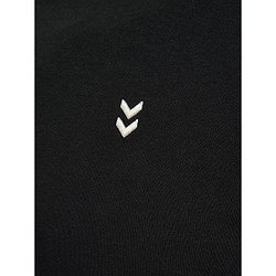 Présentation: Hummel Pulse Hoodie Sweat À Capuchon Hommes - Noir
