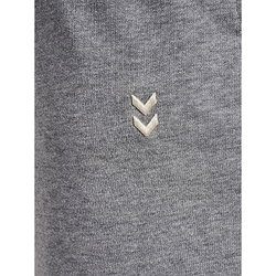 Présentation: Hummel Pulse Pantalon Sweat Hommes - Gris Mélange