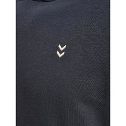 Présentation: Hummel Pulse Hoodie Sweat À Capuchon Hommes - Gris Foncé