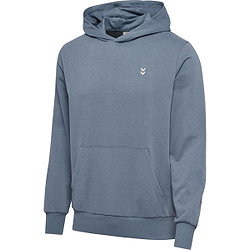 Hummel Pulse Hoodie Sweater Met Kap Heren - Blauw