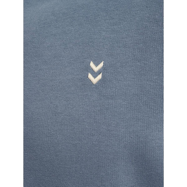 Hummel Pulse Hoodie Sweater Met Kap Heren - Blauw