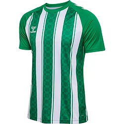Hummel Match Striped Maillot Manches Courtes Hommes - Vert / Blanc