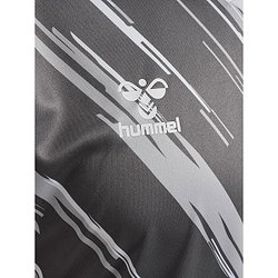 Présentation: Hummel Match Triumph Maillot Manches Courtes Hommes - Gris / Blanc