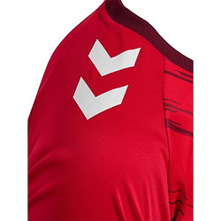 Présentation: Hummel Match Triumph Maillot Manches Courtes Hommes - Rouge