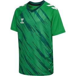 Hummel Match Triumph Maillot Manches Courtes Enfants - Vert