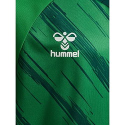 Présentation: Hummel Match Triumph Maillot Manches Courtes Enfants - Vert