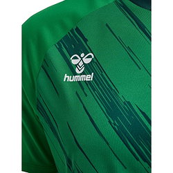 Présentation: Hummel Match Triumph Maillot Manches Courtes Hommes - Vert