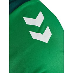 Présentation: Hummel Match Triumph Maillot Manches Courtes Hommes - Vert