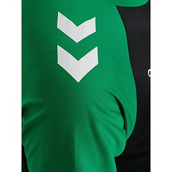 Présentation: Hummel Match League Maillot Manches Courtes Hommes - Noir / Vert
