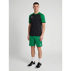 Présentation: Hummel Match League Maillot Manches Courtes Hommes - Noir / Vert