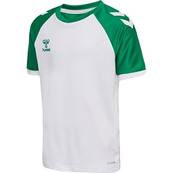 Hummel Match League Maillot Manches Courtes Enfants - Blanc / Vert