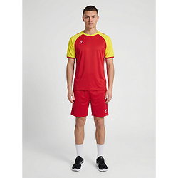 Présentation: Hummel Match League Maillot Manches Courtes Hommes - Rouge / Jaune