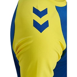 Présentation: Hummel Match League Maillot Manches Courtes Hommes - Royal / Jaune