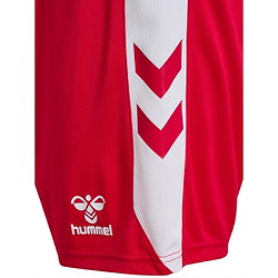 Présentation: Hummel Match Short Hommes - Rouge / Blanc