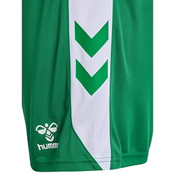 Présentation: Hummel Match Short Hommes - Vert / Blanc
