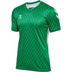 Hummel Match Legend Maillot Manches Courtes Hommes - Vert