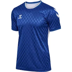Hummel Match Legend Maillot Manches Courtes Hommes - Royal / Blanc