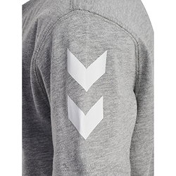 Présentation: Hummel Go 2.0 T-Shirt Enfants - Gris Mélange