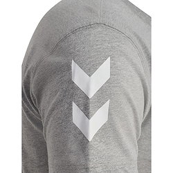 Présentation: Hummel Go 2.0 Chevron T-Shirt Hommes - Gris Mélange