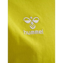 Présentation: Hummel Go 2.0 Sweat À Capuche Hommes - Jaune Clair