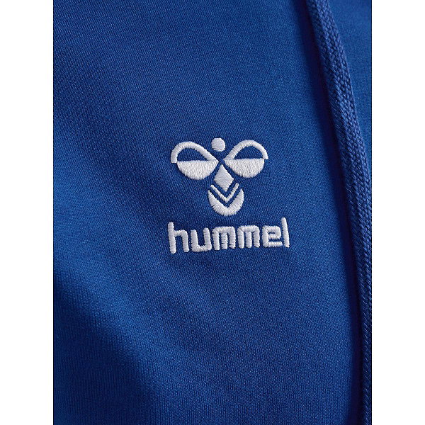 Hummel Go 2.0 Sweat À Capuche Hommes - Royal / Blanc