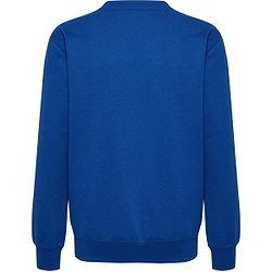 Présentation: Hummel Go 2.0 Sweat Enfants - Royal / Blanc