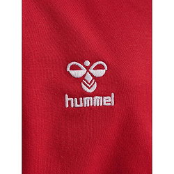 Voorvertoning: Hummel Go 2.0 Hoodie Kinderen - Rood