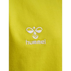 Présentation: Hummel Go 2.0 Sweat À Capuche Enfants - Jaune Clair