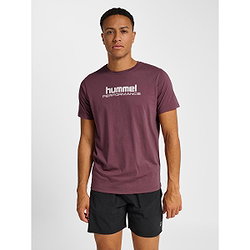 Voorvertoning: Hummel Pulse Graphic T-Shirt Heren - Bordeaux