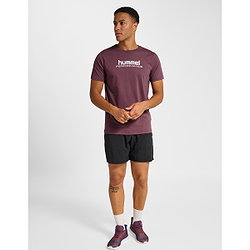 Voorvertoning: Hummel Pulse Graphic T-Shirt Heren - Bordeaux