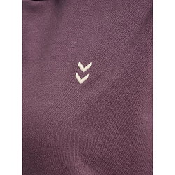 Voorvertoning: Hummel Pulse Sweater Met Kap Dames - Paars