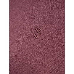 Présentation: Hummel Pulse Sweat À Capuchon Femmes - Bordeaux