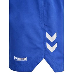 Voorvertoning: Hummel Pulse Zwemshort Heren - Royal