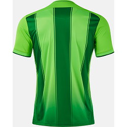 Voorvertoning: Joma Tiger VIII Shirt Korte Mouw Heren - Fluo Groen / Groen