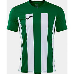 Joma Inter VI Maillot Manches Courtes Hommes - Vert / Blanc