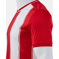 Vorschau: Joma Tiger VIII Trikot Kurzarm Herren - Rot / Weiß