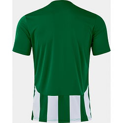 Présentation: Joma Inter VI Maillot Manches Courtes Enfants - Vert / Blanc