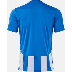 Vorschau: Joma Inter VI Trikot Kurzarm Kinder - Royal / Weiß