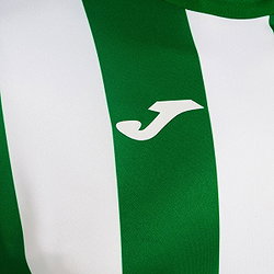 Vorschau: Joma Inter Classic Trikot Langarm Kinder - Grün / Weiß