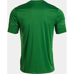 Vorschau: Joma Championship VIII Trikot Kurzarm Kinder - Grün
