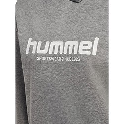 Présentation: Hummel Legacy 2.0 Sweat À Capuchon Femmes - Gris Mélange