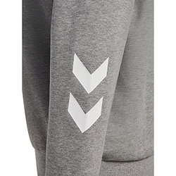 Présentation: Hummel Legacy 2.0 Sweat À Capuchon Femmes - Gris Mélange